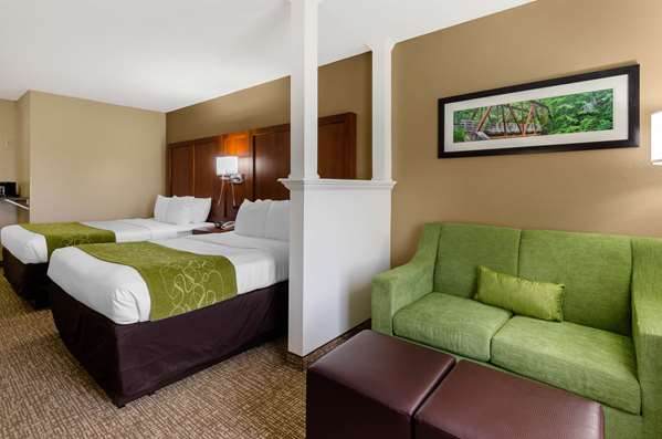 Suite - Comfort Suites Abingdon - I-81, Exit 14