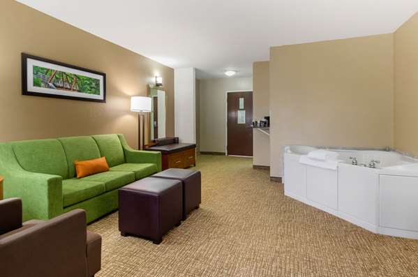 Suite - Comfort Suites Abingdon - I-81, Exit 14
