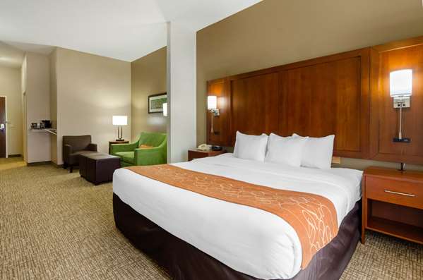  - Comfort Suites Abingdon - I-81, Exit 14