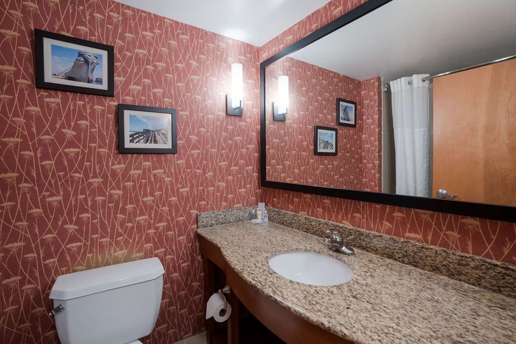 COMFORT SUITES SUFFOLK - CHESAPEAKE-guestroom-Guest Room,Bathroom,On-Site.jpg