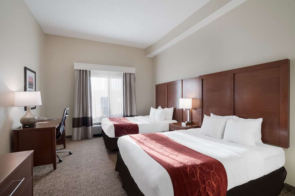 COMFORT SUITES SUFFOLK - CHESAPEAKE-guestroom-Guest Room,Suite,On-Site.jpg