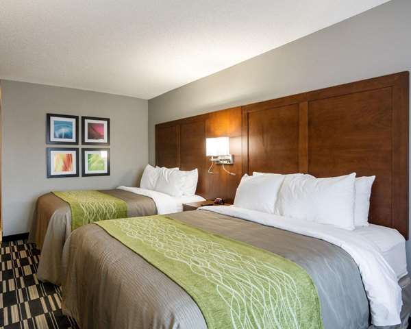  - Quality Inn & Suites Ashland - I-95, Exit 92