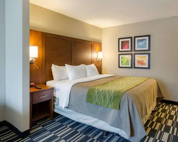 Suite - Quality Inn & Suites Ashland - I-95, Exit 92