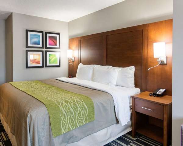 Suite - Quality Inn & Suites Ashland - I-95, Exit 92