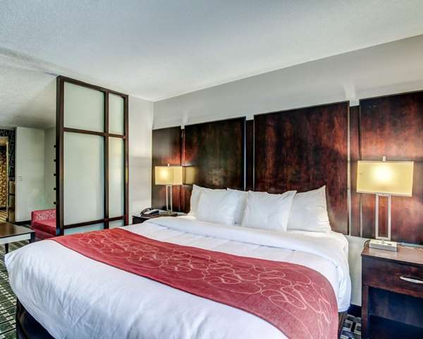 Suite - Comfort Suites Williamsburg