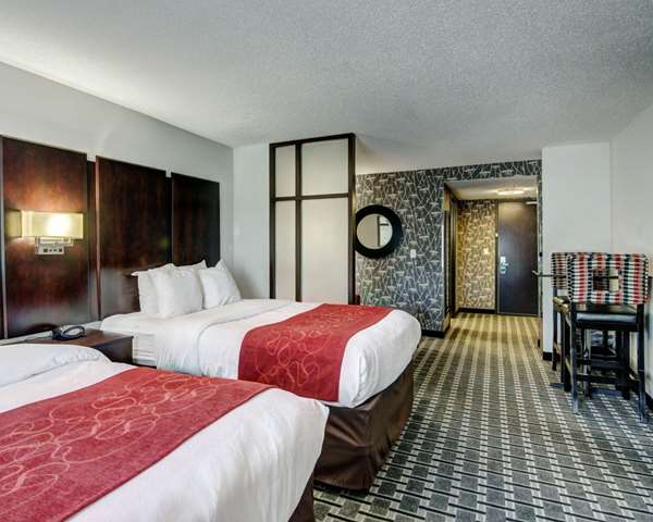 Suite - Comfort Suites Williamsburg