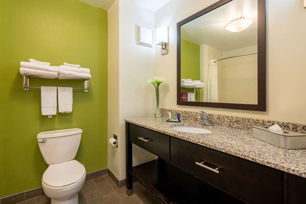 SLEEP INN AND SUITES HARBOUR POINTE-guestroom-Guest Room,Bathroom,On-Site.jpg