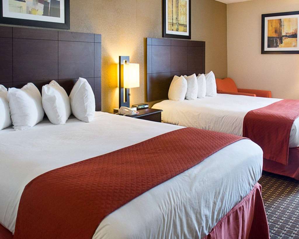 QUALITY INN & SUITES QUANTICO-guestroom-Guest Room,On-Site.jpg