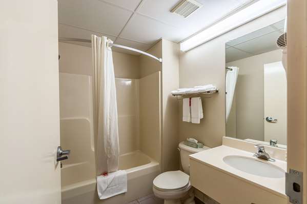 Suite - Econo Lodge Inn & Suites Middletown - I-81, Exit 302