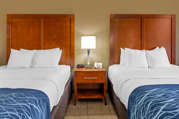  - Comfort Inn & Suites Lynchburg