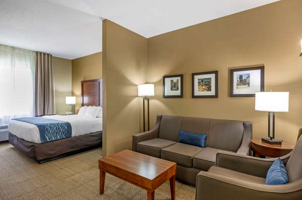 Suite - Comfort Inn & Suites Lynchburg