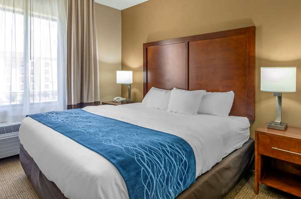 Suite - Comfort Inn & Suites Lynchburg