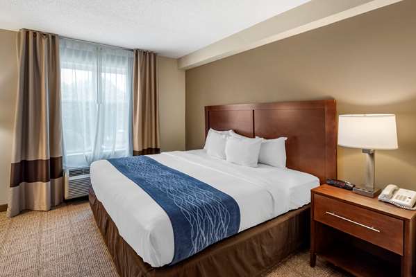 Suite - Comfort Inn & Suites Northwest Virginia Beach - I-64, Exit 282