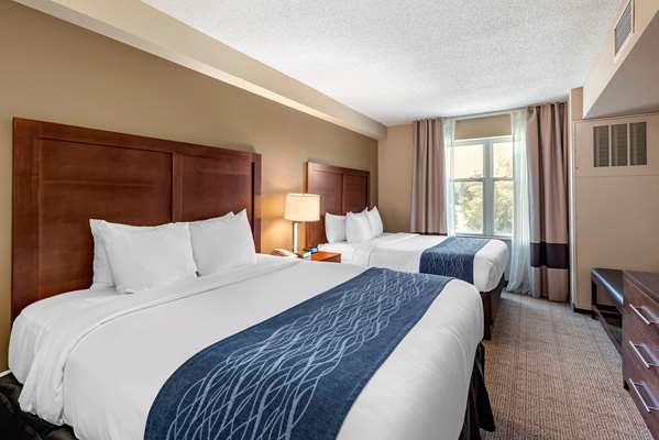 Suite - Comfort Inn & Suites Northwest Virginia Beach - I-64, Exit 282