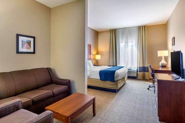 Suite - Comfort Inn Colonial Heights - I-95, Exit 58