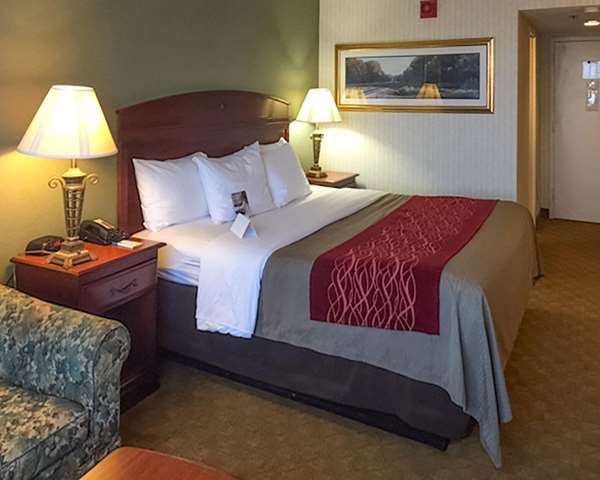  - Comfort Inn Springfield - I-95 & I-495, Exit 169