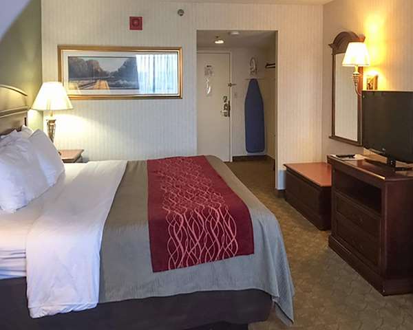  - Comfort Inn Springfield - I-95 & I-495, Exit 169