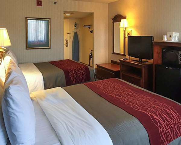  - Comfort Inn Springfield - I-95 & I-495, Exit 169