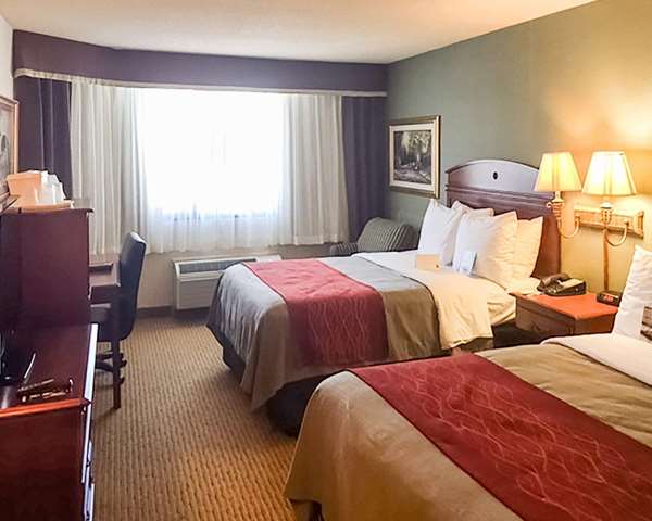  - Comfort Inn Springfield - I-95 & I-495, Exit 169