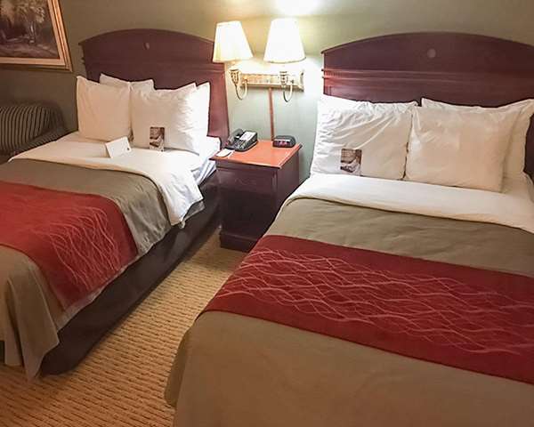  - Comfort Inn Springfield - I-95 & I-495, Exit 169