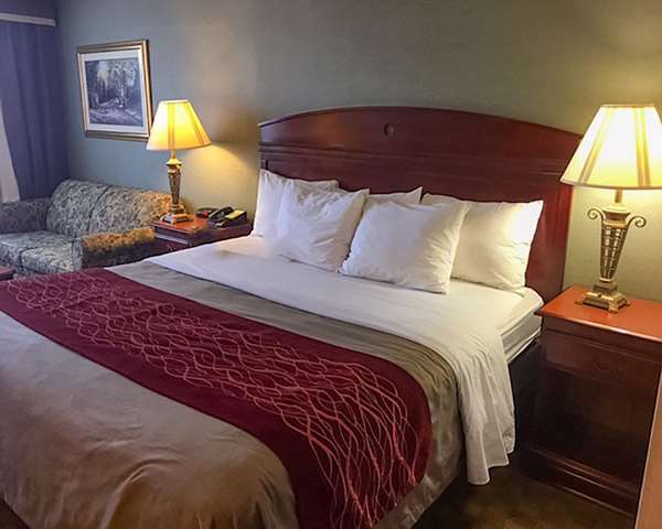  - Comfort Inn Springfield - I-95 & I-495, Exit 169