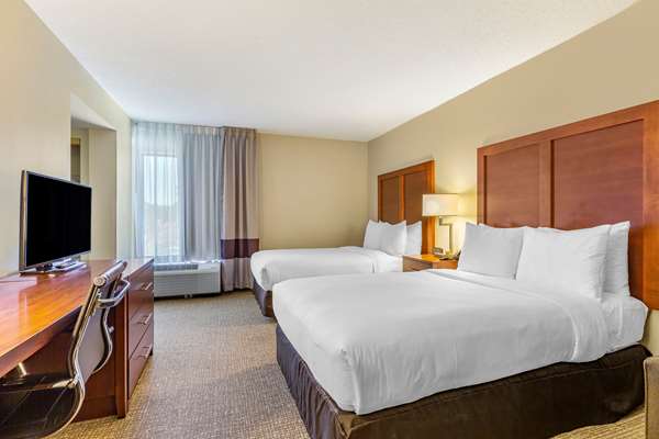 Suite - Comfort Inn Stafford - I-95, Exit 143