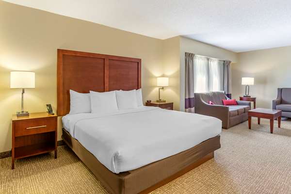 Suite - Comfort Inn Stafford - I-95, Exit 143