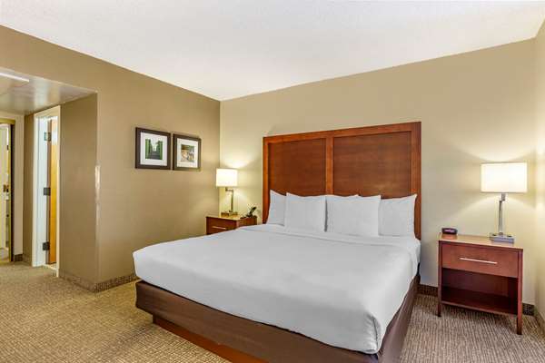 Suite - Comfort Inn Stafford - I-95, Exit 143