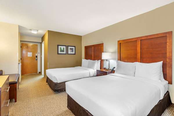 Suite - Comfort Inn Stafford - I-95, Exit 143