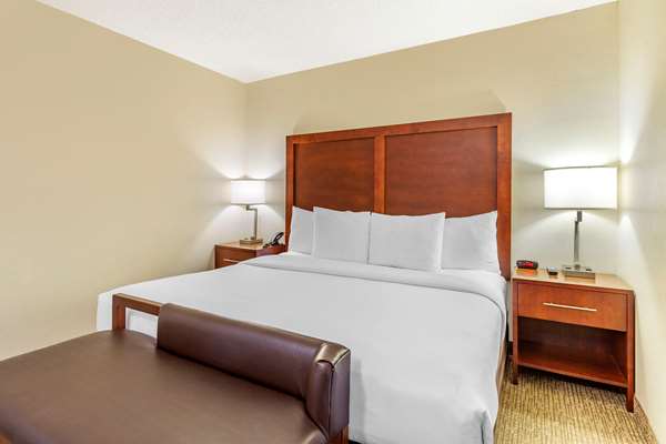 Suite - Comfort Inn Stafford - I-95, Exit 143