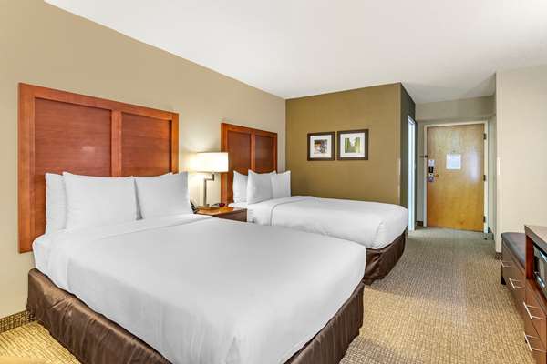  - Comfort Inn Stafford - I-95, Exit 143