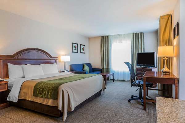 Suite - Comfort Inn & Suites South Burlington