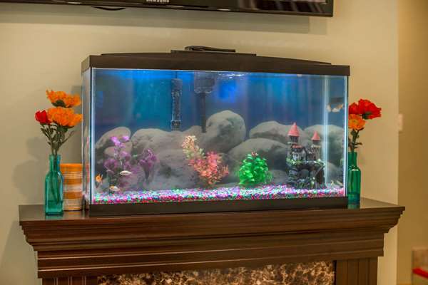  - Econo Lodge Manchester