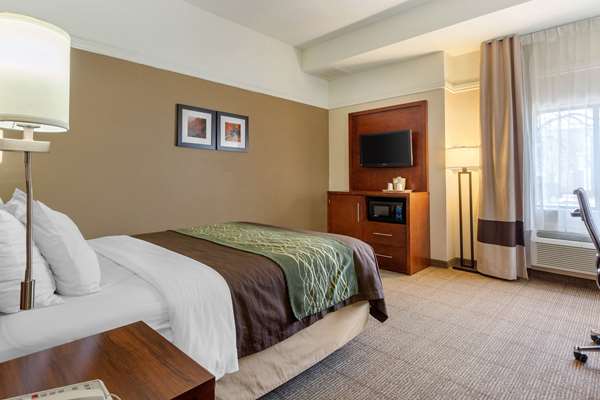  - Comfort Inn Trolley Square Rutland