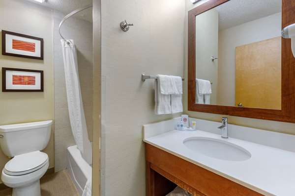  - Comfort Inn Trolley Square Rutland