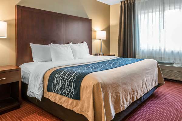 Suite - Comfort Inn Lacey - I-5, Exit 109