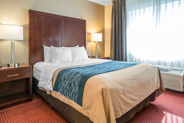  - Comfort Inn Lacey - I-5, Exit 109