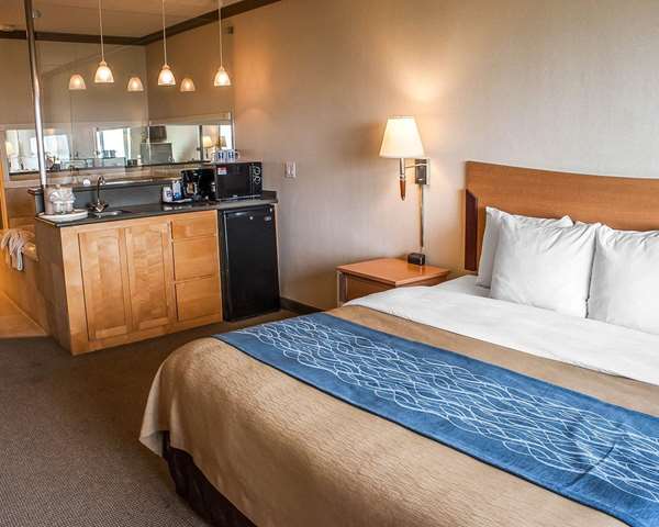 Suite - Comfort Inn & Suites Ocean Shores
