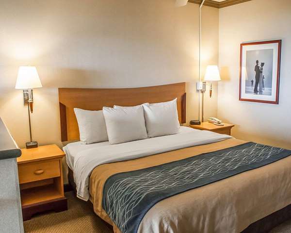 Suite - Comfort Inn & Suites Ocean Shores