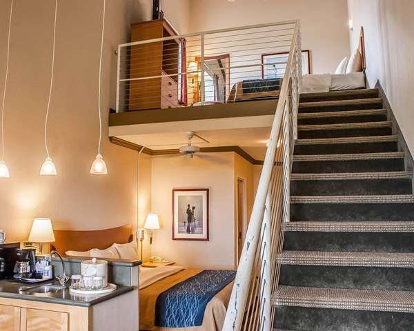 Suite - Comfort Inn & Suites Ocean Shores