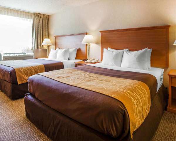 Suite - Comfort Inn Kirkland