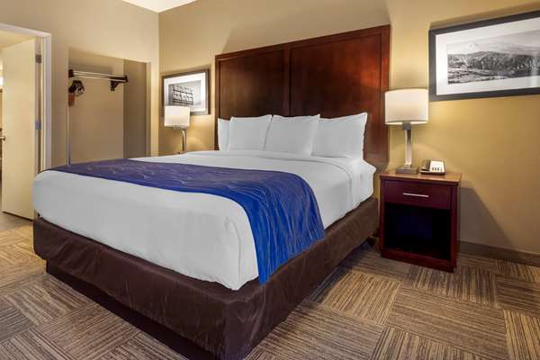 Suite - Comfort Inn & Suites SeaTac