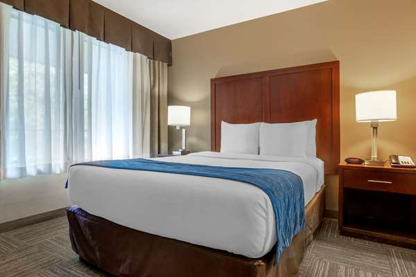 Suite - Comfort Inn & Suites SeaTac