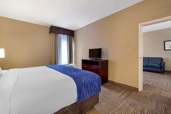 Suite - Comfort Inn & Suites SeaTac