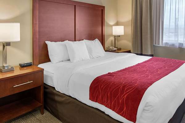 Suite - Comfort Inn Colville