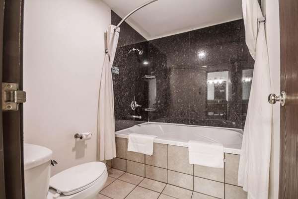 Suite - Comfort Suites Airport Appleton