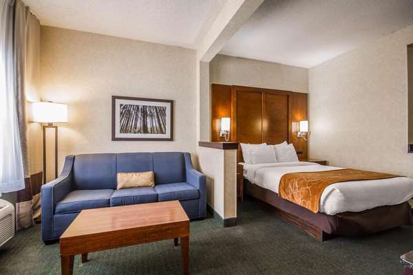 Suite - Comfort Suites Airport Appleton