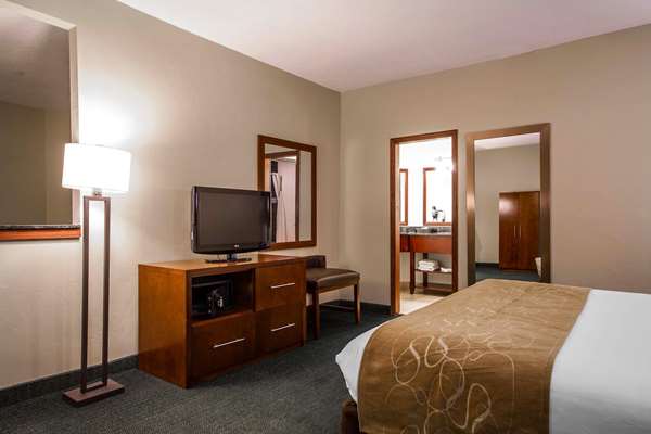 Suite - Comfort Suites Airport Appleton