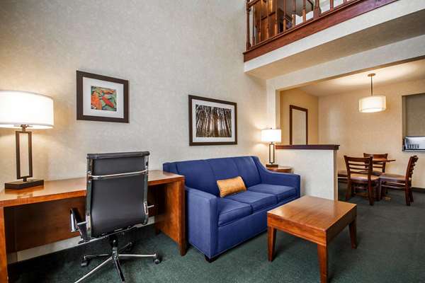 Suite - Comfort Suites Airport Appleton