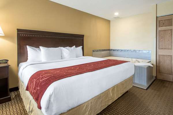 Suite - Comfort Suites Portage - I-39, I-90 & I-94, Exit 108A